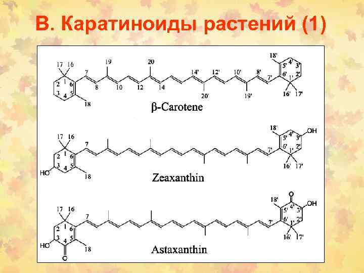 В. Каратиноиды растений (1) 