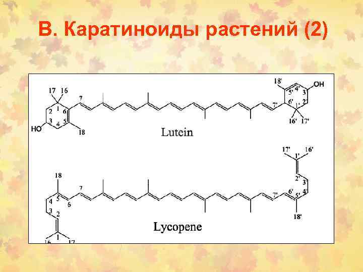В. Каратиноиды растений (2) 