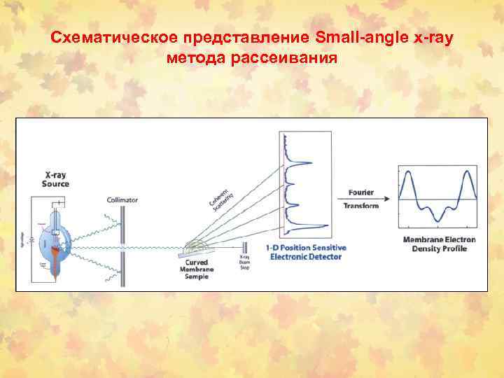 Схематическое представление Small-angle x-ray метода рассеивания 