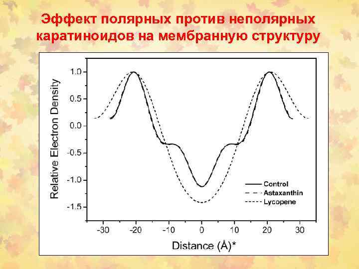 Эффект полярных против неполярных каратиноидов на мембранную структуру 