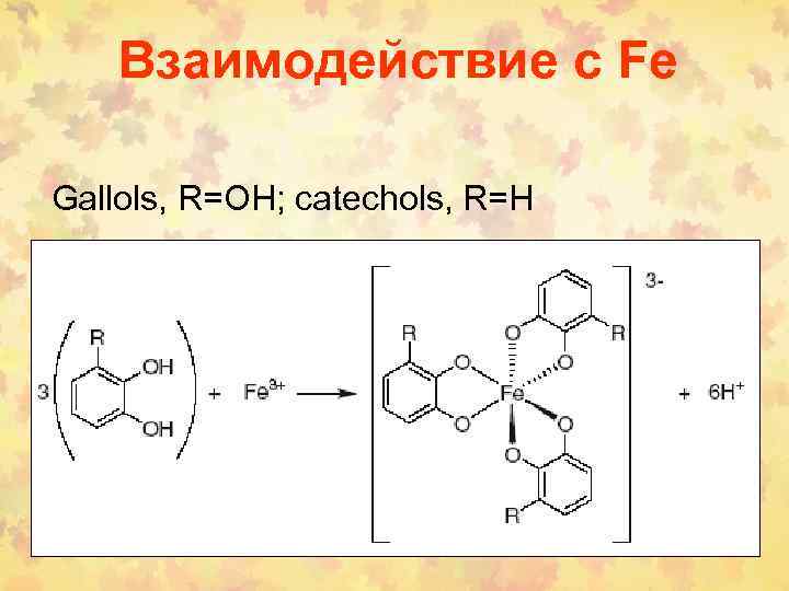 Взаимодействие с Fe Gallols, R=OH; catechols, R=H 