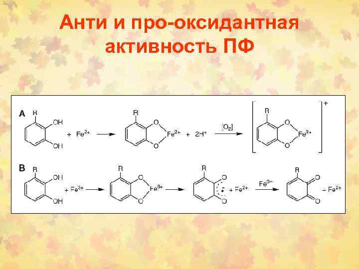 Анти и про-оксидантная активность ПФ 