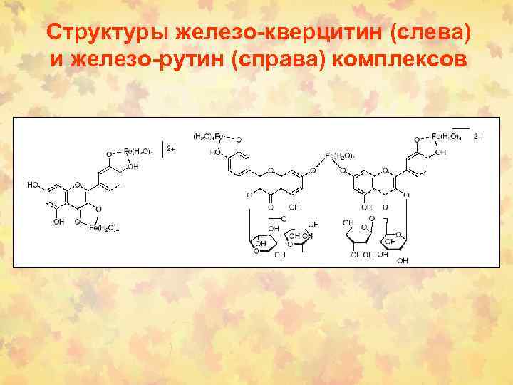Структуры железо-кверцитин (слева) и железо-рутин (справа) комплексов 