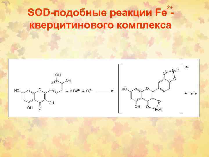 2+ SOD-подобные реакции Fe кверцитинового комплекса 