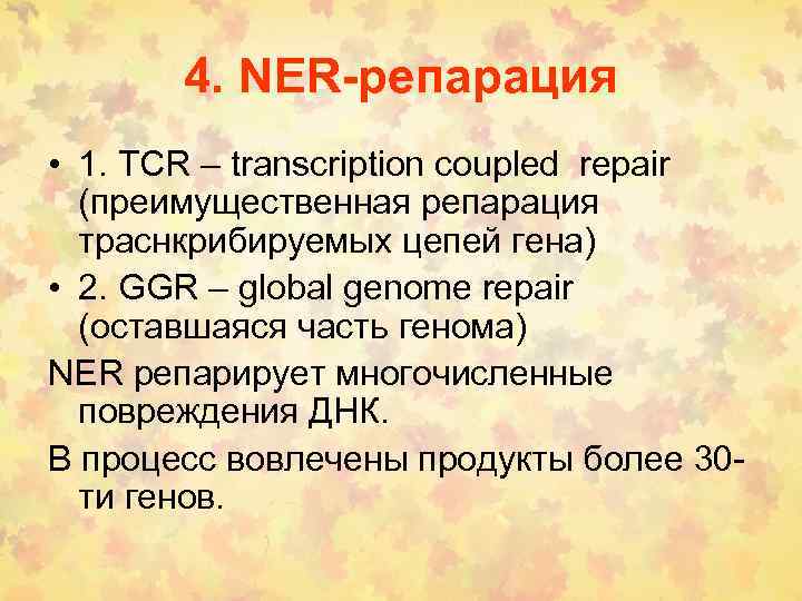 4. NER-репарация • 1. TCR – transcription coupled repair (преимущественная репарация траснкрибируемых цепей гена)