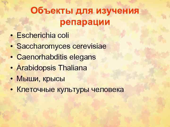 Объекты для изучения репарации • • • Escherichia coli Saccharomyces cerevisiae Caenorhabditis elegans Arabidopsis