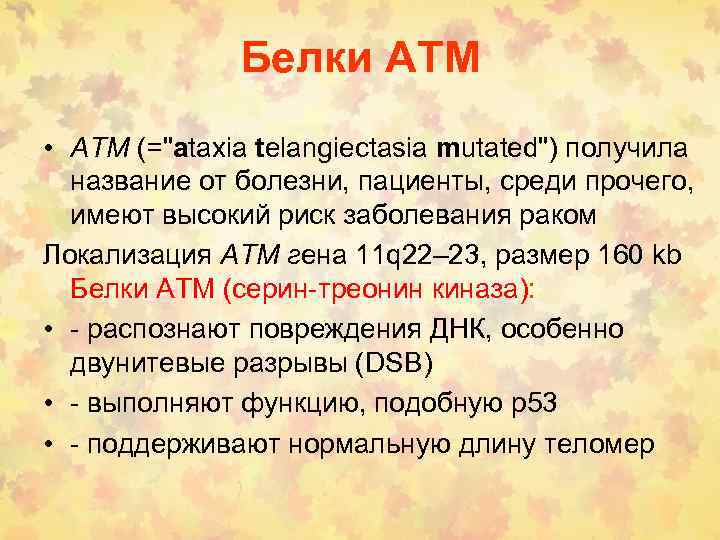 Белки ATM • ATM (=