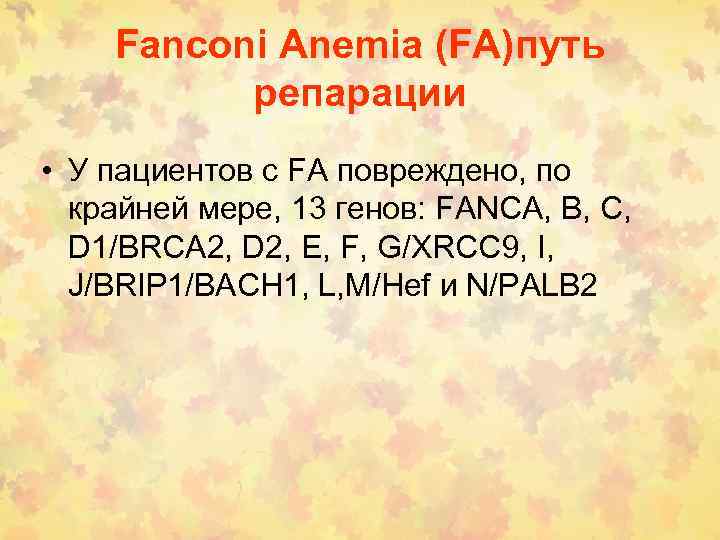 Fanconi Anemia (FA)путь репарации • У пациентов с FA повреждено, по крайней мере, 13