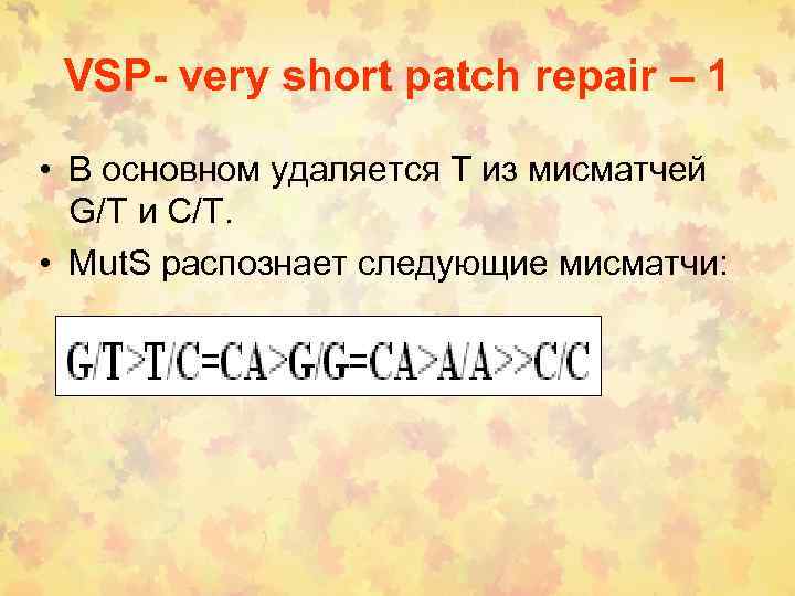 VSP- very short patch repair – 1 • В основном удаляется Т из мисматчей