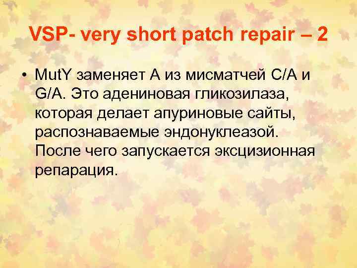 VSP- very short patch repair – 2 • Mut. Y заменяет А из мисматчей