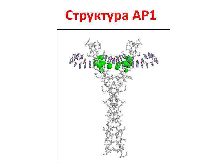 Структура АР 1 