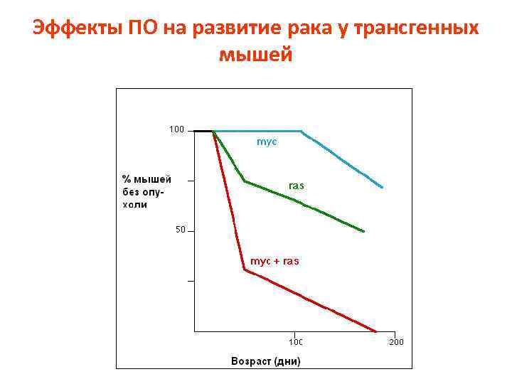 Эффекты ПО на развитие рака у трансгенных мышей 