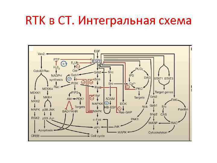 RTK в СТ. Интегральная схема 