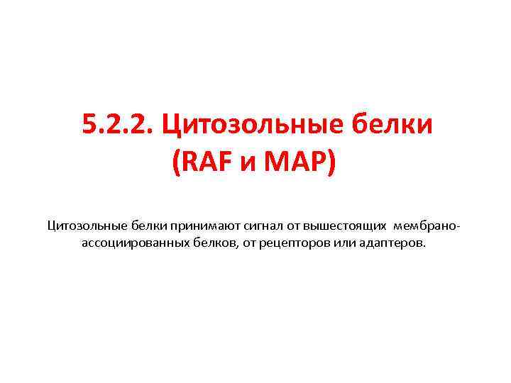5. 2. 2. Цитозольные белки (RAF и MAP) Цитозольные белки принимают сигнал от вышестоящих