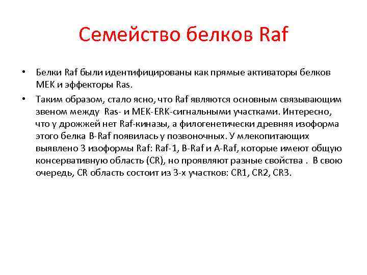 Семейство белков Raf • Белки Raf были идентифицированы как прямые активаторы белков MEK и