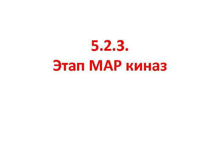 5. 2. 3. Этап МАР киназ 