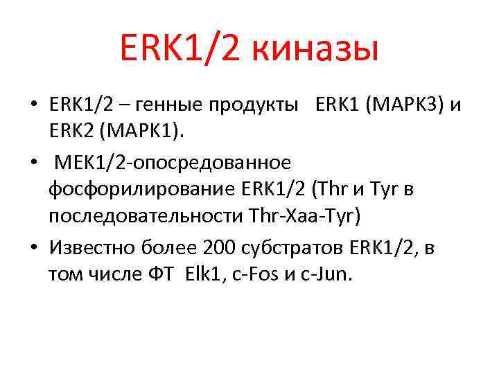 ERK 1/2 киназы • ERK 1/2 – генные продукты ERK 1 (MAPK 3) и