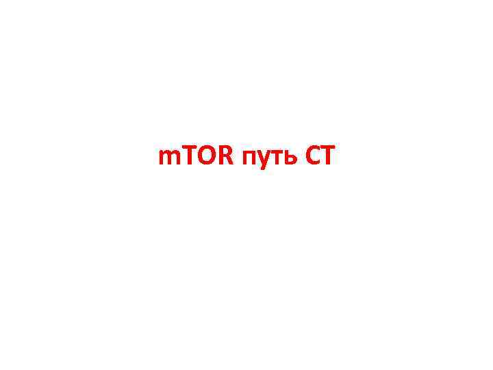 m. TOR путь СТ 