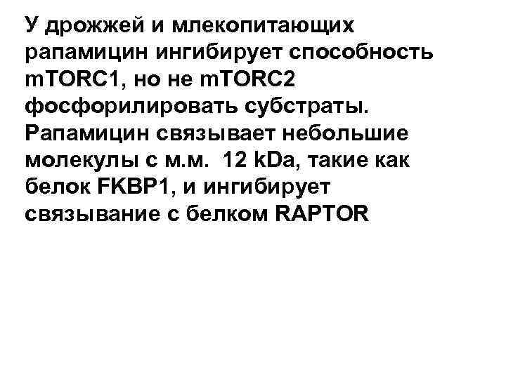 У дрожжей и млекопитающих рапамицин ингибирует способность m. TORC 1, но не m. TORC