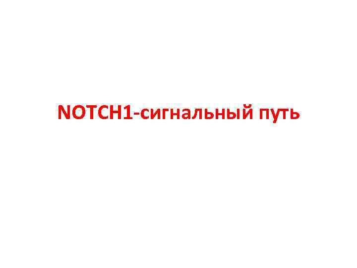 NOTCH 1 -сигнальный путь 