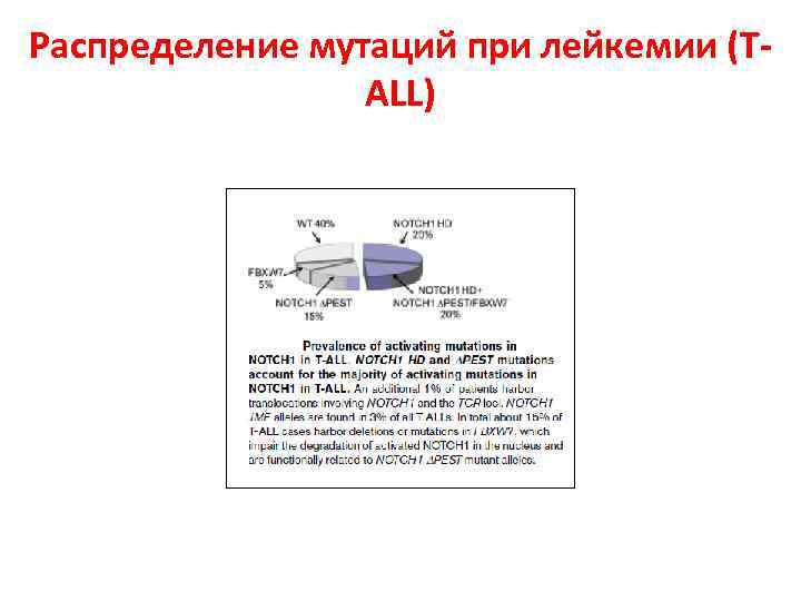 Распределение мутаций при лейкемии (TALL) 