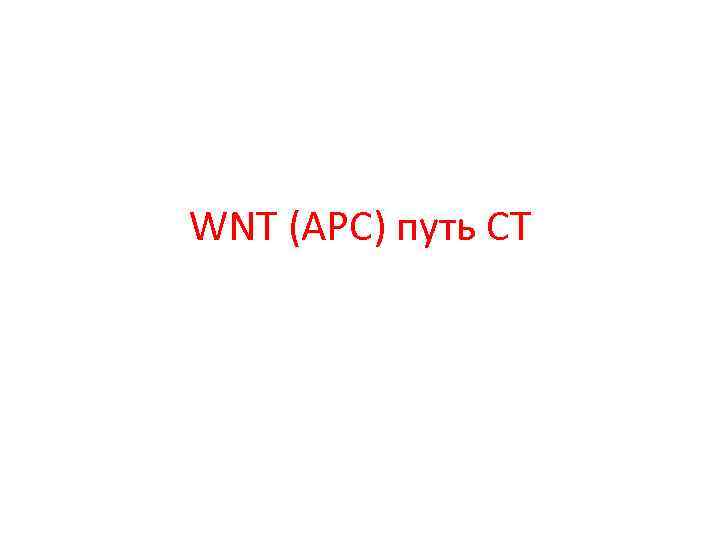 WNT (АРС) путь СТ 