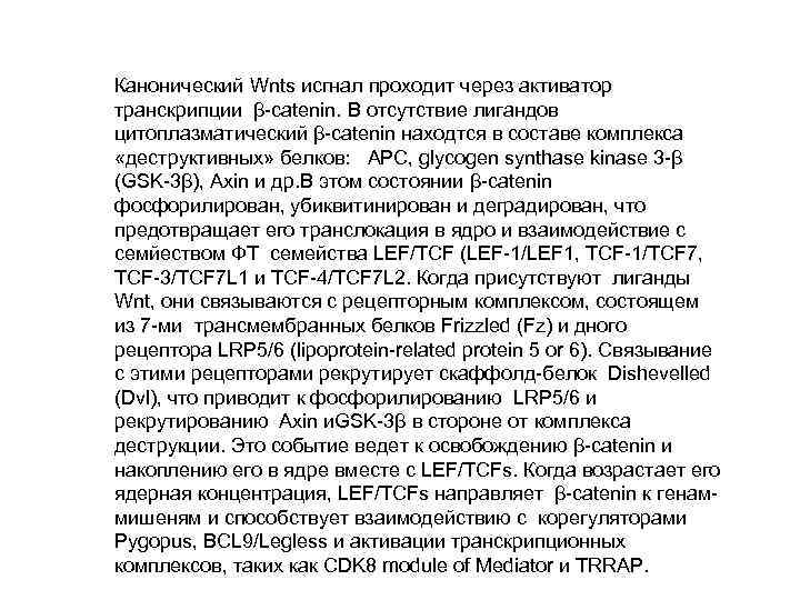 Канонический Wnts исгнал проходит через активатор транскрипции β-catenin. В отсутствие лигандов цитоплазматический β-catenin находтся