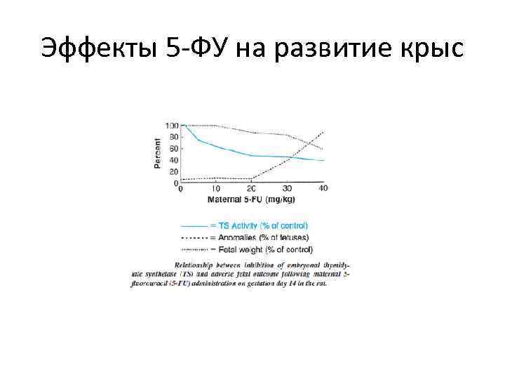 Эффекты 5 -ФУ на развитие крыс 