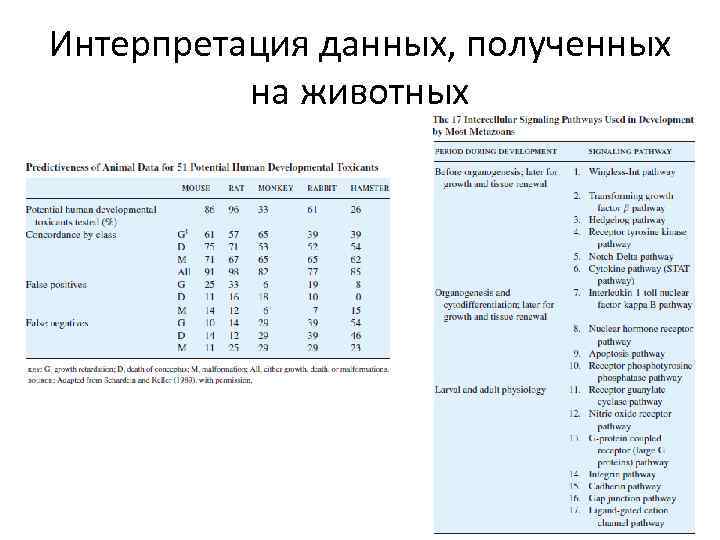 Интерпретация данных, полученных на животных 