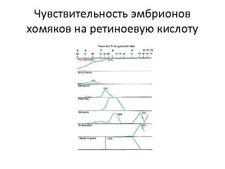 Чувствительность эмбрионов хомяков на ретиноевую кислоту 