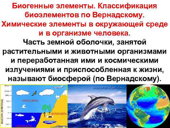 Биогенные элементы. Классификация биоэлементов по Вернадскому. Химические элементы в окружающей среде и в организме