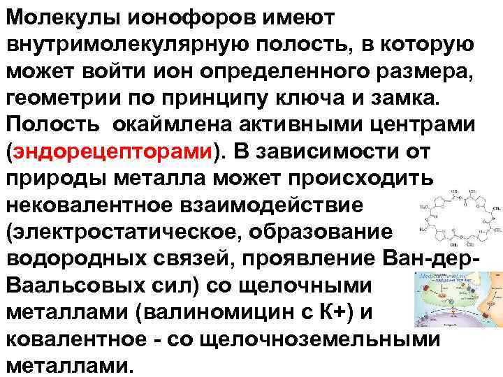Молекулы ионофоров имеют внутримолекулярную полость, в которую может войти ион определенного размера, геометрии по