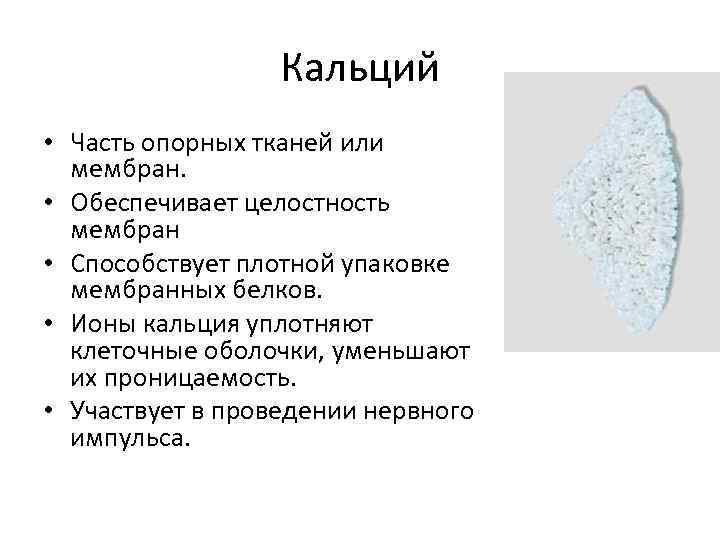Кальций • Часть опорных тканей или мембран. • Обеспечивает целостность мембран • Способствует плотной