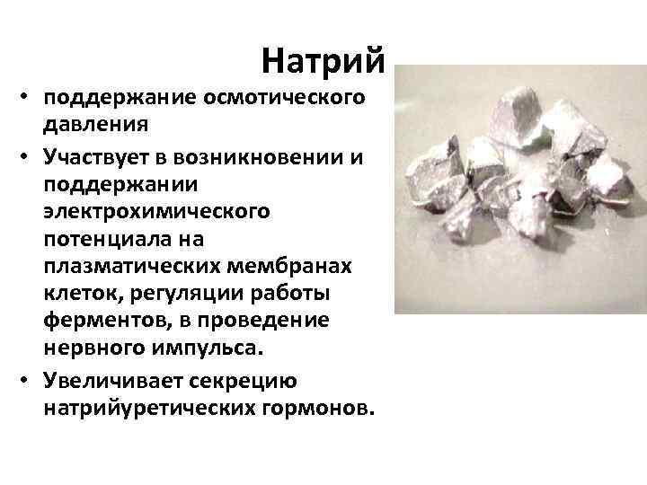 Натрий • поддержание осмотического давления • Участвует в возникновении и поддержании электрохимического потенциала на