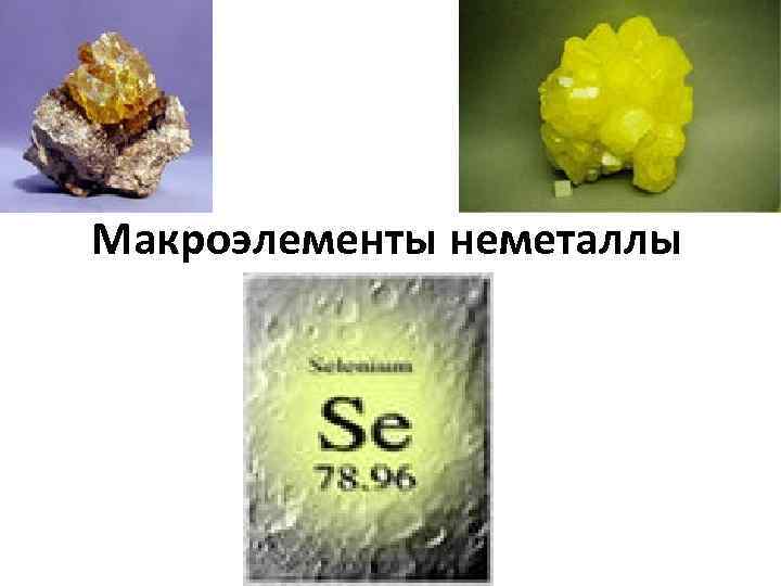 Макроэлементы неметаллы 