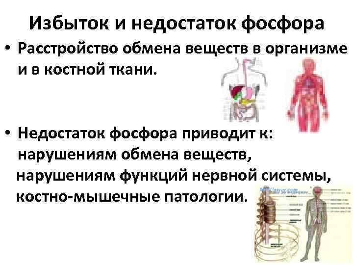 Избыток и недостаток фосфора • Расстройство обмена веществ в организме и в костной ткани.