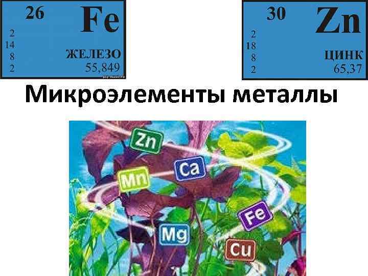 Микроэлементы металлы 