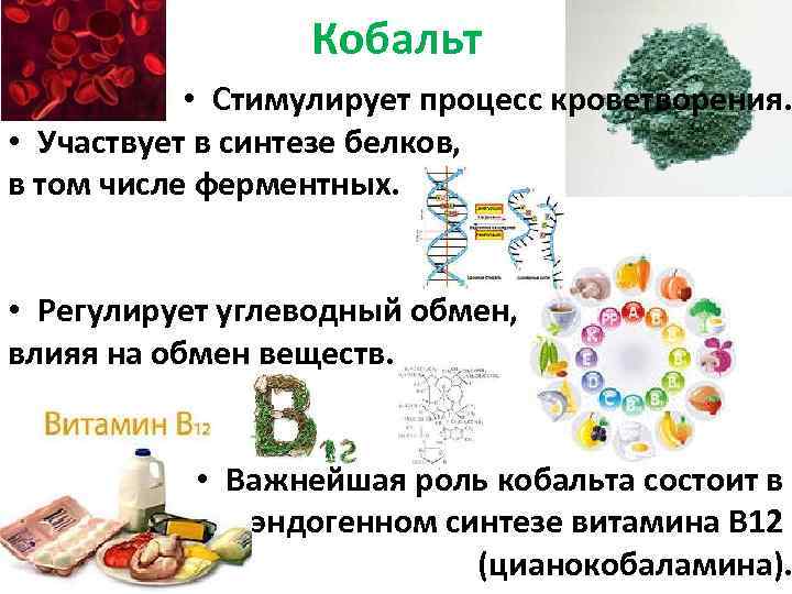 Синтез белка витамины. Роль кобальта в организме. Коболь функции в организме человека. Биологическая роль кобальта. Роль кобольт в организме человека.