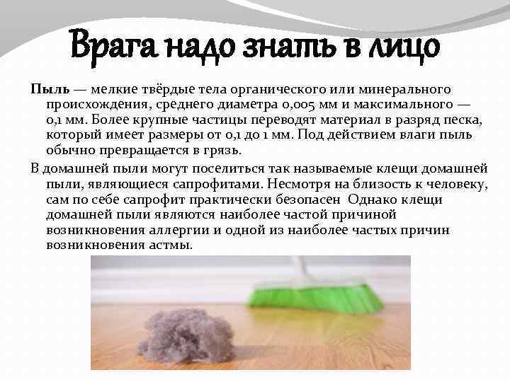 Врага надо знать в лицо Пыль — мелкие твёрдые тела органического или минерального происхождения,