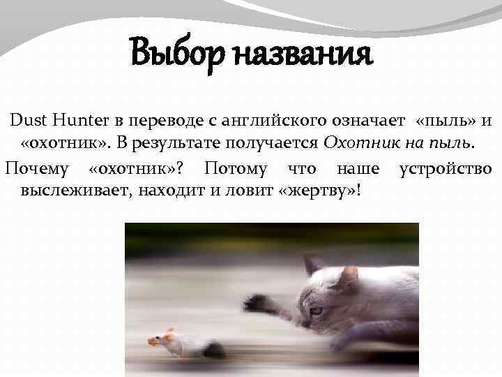 Выбор названия Dust Hunter в переводе с английского означает «пыль» и «охотник» . В