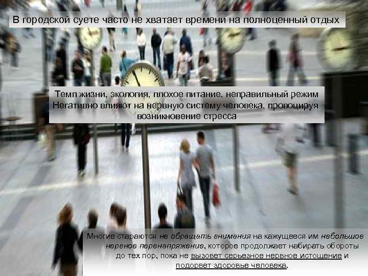 В городской суете часто не хватает времени на полноценный отдых Темп жизни, экология, плохое