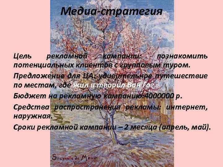 Медиа-стратегия Цель рекламной кампании: познакомить потенциальных клиентов с групповым туром. Предложение для ЦА: удивительное