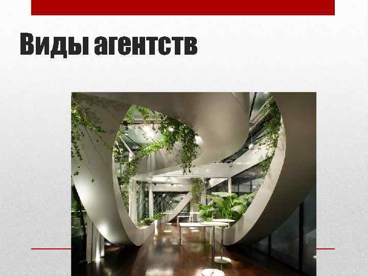 Виды агентств 