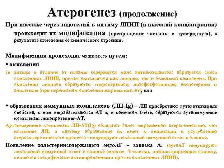 Атерогенез (продолжение) При пассаже через эндотелий в интиму ЛПНП (в высокой концентрации) происходит их