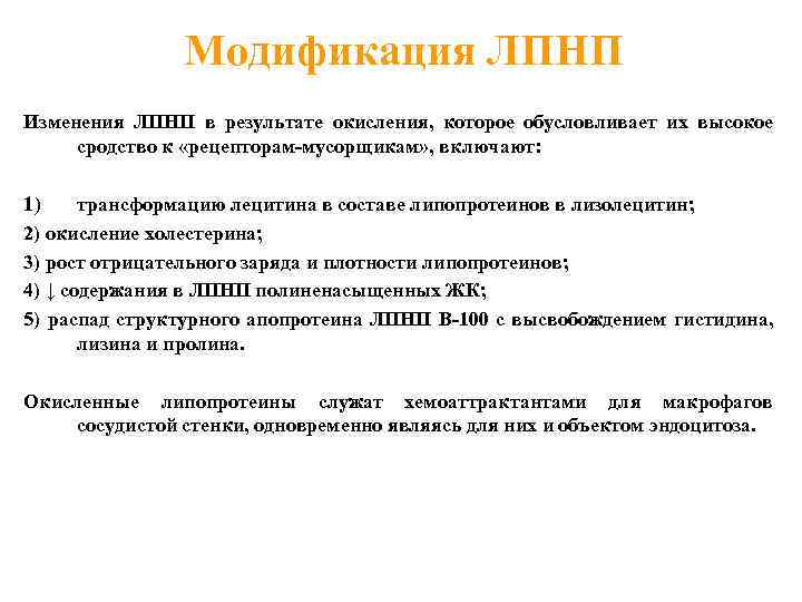 Модификация ЛПНП Изменения ЛПНП в результате окисления, которое обусловливает их высокое сродство к «рецепторам-мусорщикам»