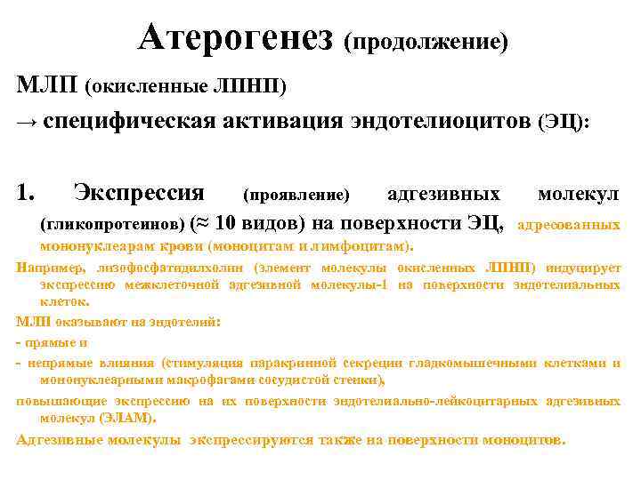Атерогенез (продолжение) МЛП (окисленные ЛПНП) → специфическая активация эндотелиоцитов (ЭЦ): 1. Экспрессия (проявление) адгезивных