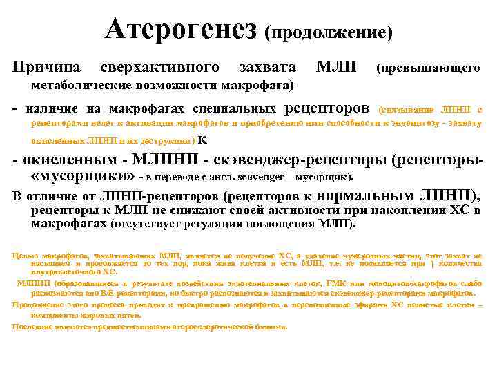 Атерогенез (продолжение) Причина сверхактивного захвата МЛП (превышающего метаболические возможности макрофага) - наличие на макрофагах
