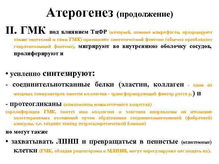 Атерогенез (продолжение) II. ГМК под влиянием Тц. ФР (который, помимо макрофагов, продуцируют также эндотелий