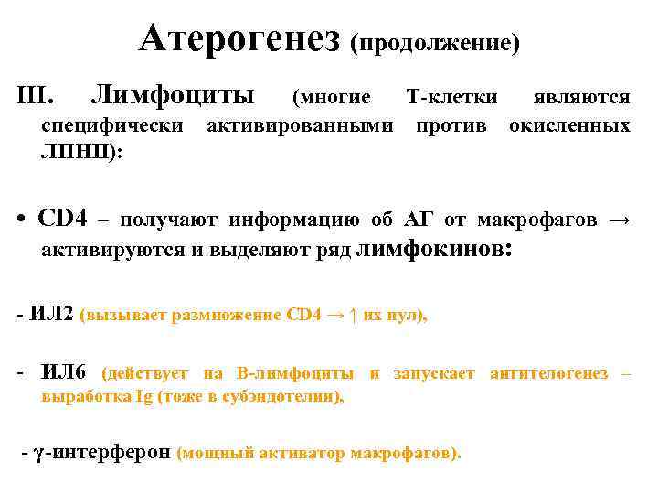 Атерогенез (продолжение) III. Лимфоциты (многие Т-клетки являются специфически активированными против окисленных ЛПНП): • СD