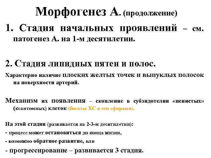Морфогенез А. (продолжение) 1. Стадия начальных проявлений – см. патогенез А. на 1 -м